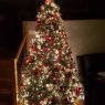 WG's Christmas tree from Peace River, AB, Canada