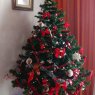 Weihnachtsbaum von Maria Georgieva  (Valencia)