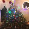 Árbol de Navidad de pippin (Hicksville, USA)