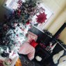 Árbol de Navidad de Ashlyn  (West Virginia )