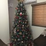 Flor Aispuro's Christmas tree from Sinaloa, Mexico