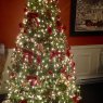 Patrick's Christmas tree from Canada