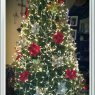 Árbol de Navidad de Dana Brown (USA)