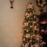 DANITZA JEANCARLA HINOJOSA KALAFATIC's Christmas tree from COCHABAMBA BOLUVIA