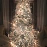 Amber Smith's Christmas tree from Pasco, Wa