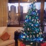 Amy Mazon's Christmas tree from Madrid, Spain