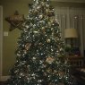 Árbol de Navidad de Kim Carney (North Carolina)