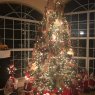 Kathy Filippakis's Christmas tree from Palm Harbor, FL
