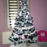casagrande's Christmas tree from pas de calais