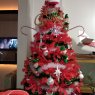 Crystal Good's Christmas tree from York, pa, usa