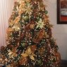 CARLOS's Christmas tree from Torreon Mex