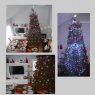 Weihnachtsbaum von Doina Balan Csatlos (Canada)