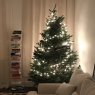 Weihnachtsbaum von King Solomon (New York, NY)