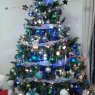 Pamela's Christmas tree from Santiago - Chile