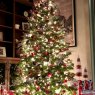 Michelle Gunter 's Christmas tree from Seattle, Washington 