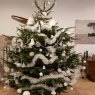 Weihnachtsbaum von Alias95St  (St Leu la Forêt France)