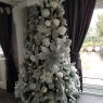 Weihnachtsbaum von Dee (Stansted uk)