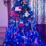 Linda Garza's Christmas tree from Gary, IN, USA