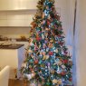 Strinki's Christmas tree from Split, Croatia