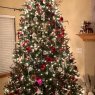 Abigail Longwell 's Christmas tree from Iowa City, IA, USA 