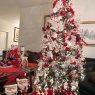 SOHI Cardinals Holiday Tree's Christmas tree from Chicago, Illinois USA