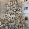 Jessica Vasquez's Christmas tree from Arizona