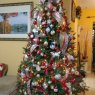 Shaffina 's Christmas tree from Florida 