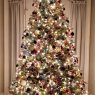 Buch Family Tree's Christmas tree from Pilesgrove, NJ