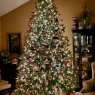 Weihnachtsbaum von Quinones (MN)