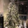 Teresa Migliuri's Christmas tree from Vancouver, Canada