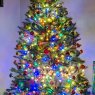 Weihnachtsbaum von David Colgan (Yonkers NY)