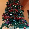 Weihnachtsbaum von Aby Augustine (Thrissur, Kerala, INDIA)