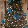 Regina's Christmas tree from Sandusky OHIO 