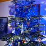 WIEST Denis's Christmas tree from Sarralbe FRANCE