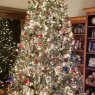 Becky Cooper's Christmas tree from North Carolina USA