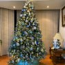 Tanishka 's Christmas tree from Mexico City