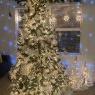 Weihnachtsbaum von Areli Alba  (Pleasantville NJ)