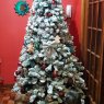 Daniela y thiago's Christmas tree from Palencia