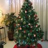 BRANKO HINOJOSA KALAFATIC's Christmas tree from CIUDAD DE MEXICO - MEXICO