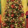Weihnachtsbaum von Bindu Antony (Dubai)