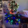 Árbol de Navidad de Nina & Parker (Seattle, WA, USA)