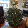 Patrick Schneider-Sikorsky's Christmas tree from London UK