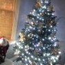 Árbol de Navidad de Ali?s Champagne tree (Concord, Ca)
