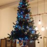 LAGARDE Bernard's Christmas tree from Tosse, France