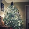 Weihnachtsbaum von Kerry Palmer  (Damascus NB Canada )