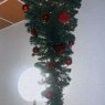 Mo's Christmas tree from Fuerteventura