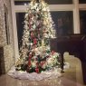 Miss Kemp 's Christmas tree from Houston, texas