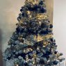 Arbol congelado Burgos's Christmas tree from Burgos
