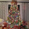 Árbol de Navidad de The Santoli Family Christmas Tree 2021 (Ellicott City, MD, USA)