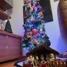 Stella's Christmas tree from Split, Croatia